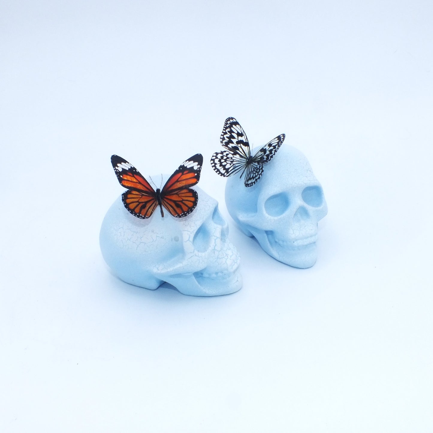 ANTIQUE CRACKLE BUTTERFLY SKULL
