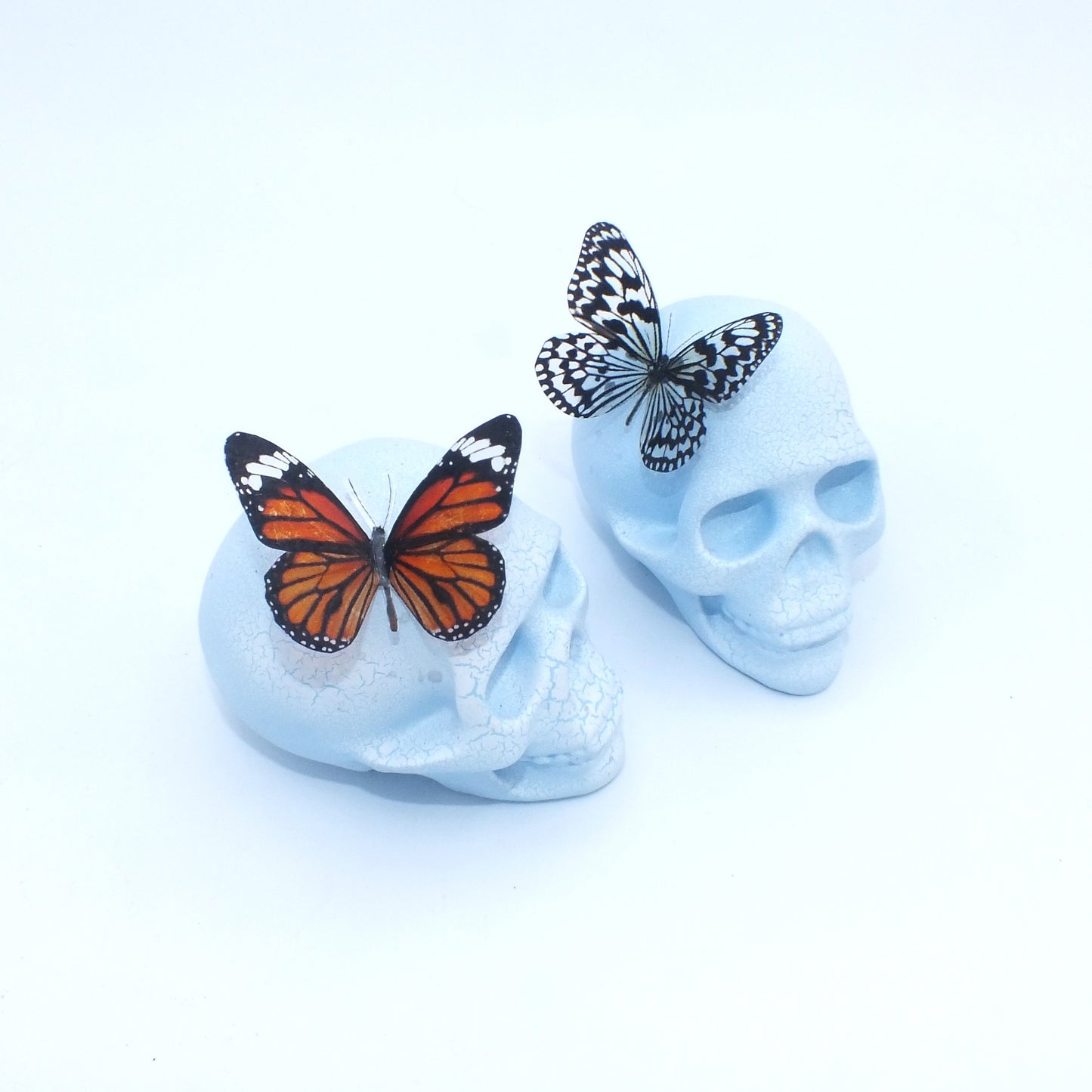 ANTIQUE CRACKLE BUTTERFLY SKULL