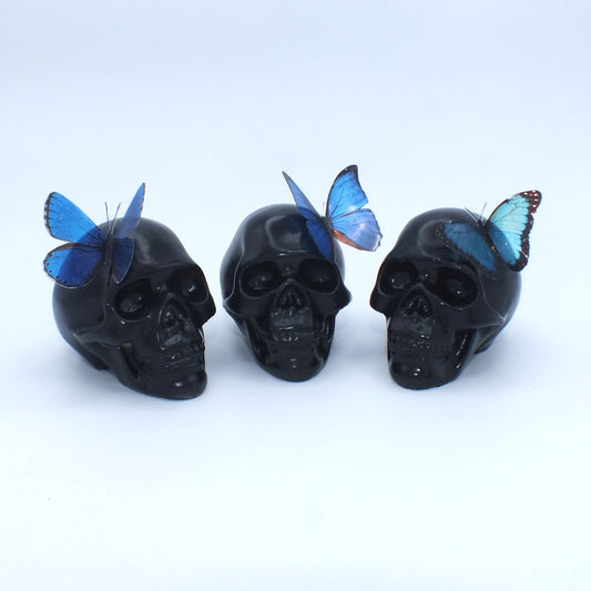 BUTTERFLY SKULL