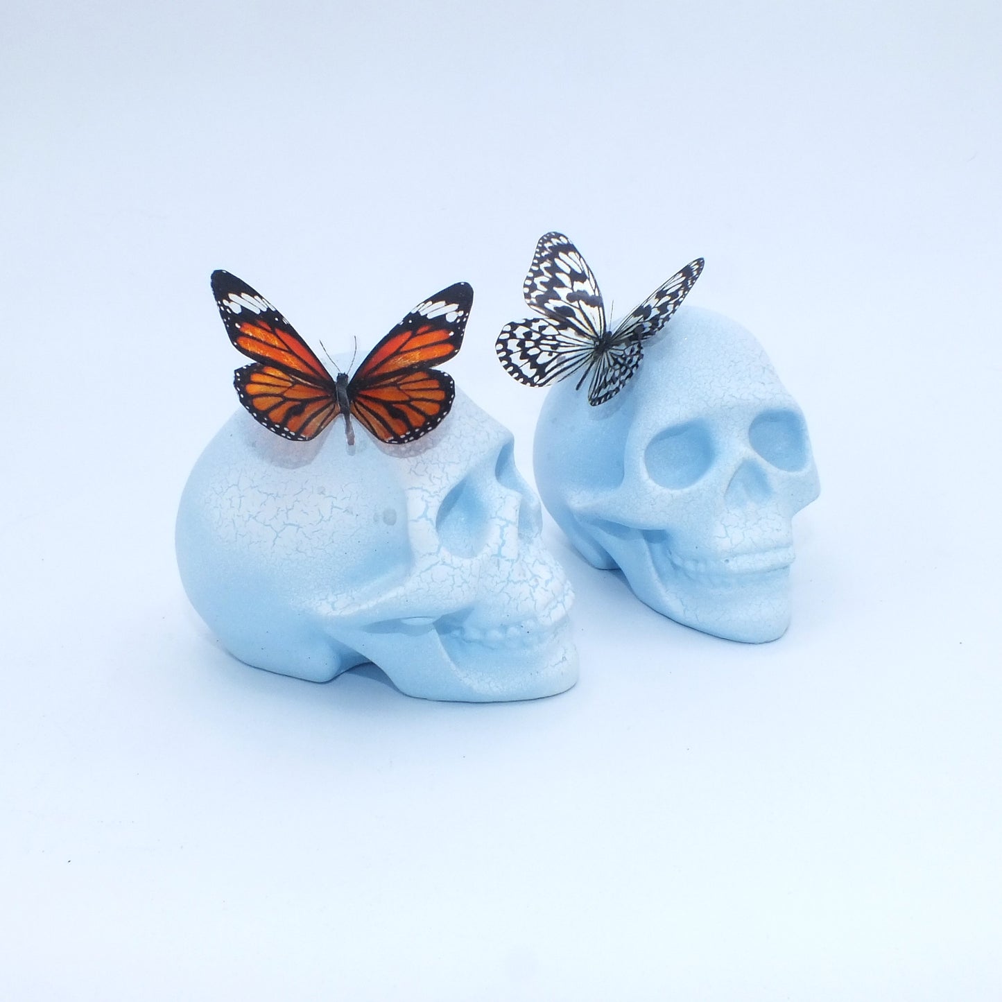 CRACKLE BUTTERFLY SKULL